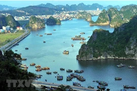 Ha Long Bay in the northeastern province of Quang Ninh. (Photo: VNA)