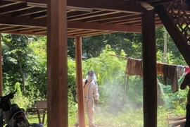 A medical official sprays Chloramine B in the house of a patient with diphtheria in Muong Lat town, Muong Lat district. (Photo: VNA)