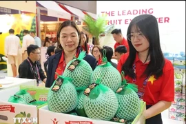 Vietnamese green-skinned pomelos are on display at the Asia Fruit Logistica in Hong Kong (China)