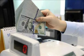 With the current trading band of +/- 5%, the ceiling rate applicable for commercial banks during the day is 25,433 VND/USD and the floor rate 23,011 VND/USD. (Photo: VNA)