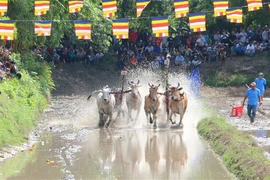 At the festival (Photo: VNA)