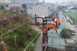 Power supply resumed to over 5.98 million clients affected by Typhoon Yagi. (Photo: VNA)