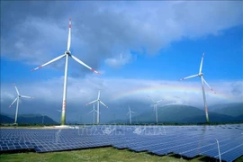 A view of a green project. Many commercial banks have recently had incentive credit programmes for green enterprises and projects. (Photo: VNA)