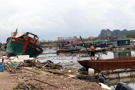 Boats and aquaculture cages in Quang Yen township were damaged after Typhoon Yagi swept over the northern coastal province of Quang Ninh. (Photo: VNA)