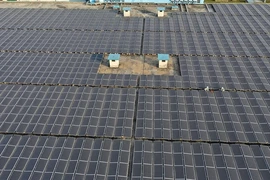 A solar power farm in Hau Giang province (Photo: VNA)