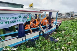 A campaign has been launched to collect waste in Cai Rang floating market on the Can Tho River, a popular tourist destination in Ninh Kieu district (Photo: VietnamPlus)