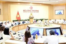 At the working session between Deputy Minister of Industry and Trade Nguyen Hoang Long and Norwegian Ambassador to Vietnam Hilde Solbakken. (Photo: VNA)