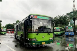 Buses at the Eastern Bus Station in Binh Thanh district. (Photo: VNA)