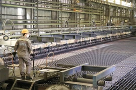 A worker at a steel production line at Thai Nguyen Iron and Steel JSC (Photo: VNA)