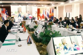 An overview of the meeting (Photo: VNA)