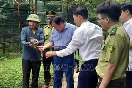 15 rare wild animals are released into the Phong Nha-Ke Bang National Park on September 25 (Photo: VNA)