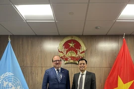 Ambassador Dang Hoang Giang, Permanent Representative of Vietnam to the United Nations (R) and Andreas Schaal, Director for OECD Global Relations and Cooperation, as well as the OECD Sherpa to the G7, the G20 and APEC. (Photo: VNA)