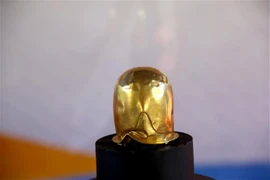 The golden linga of Binh Thuan (Photo: VNA)