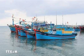 The south-central province of Binh Thuan is working to to clamp down on illegal, unreported and unregulated (IUU) fishing. (Photo: VNA)