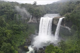 A view of the K50 Waterfall (Hang En Waterfall) in the Kon Ka Kinh National Park in the Central Highlands province of Gia Lai. (Photo: VNA)