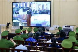 Participants in the trial held in HCM City (Photo: VNA)