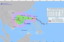 Movement of the typhoon (Photo: VNA)