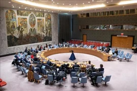 An overview of the UNSC's open debate (Photo: VNA)