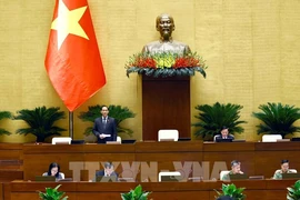 NA Vice Chairman Tran Quang Phuong speaks at the session. (Photo: VNA)