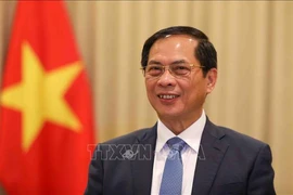 Deputy Prime Minister and Foreign Minister Bui Thanh Son (Photo: VNA)