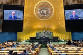 Minister Counsellor Nguyen Hoang Nguyen speaks at the United Nations General Assembly's debate on its reforms. (Photo: VNA)