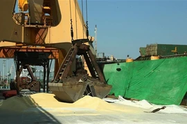 Loading fertiliser onto a ship at the Dinh Vu Port in Hai Phong city. (Photo: VNA)