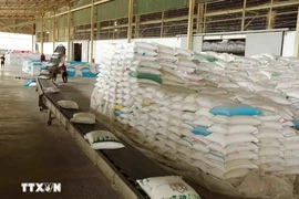 Rice packaging for export (Photo: VNA)