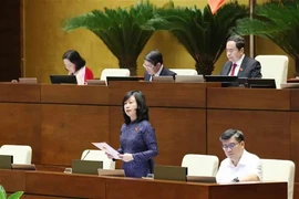 Minister of Health Dao Hong Lan clears up questions on issues related to the health sector (Photo: VNA)