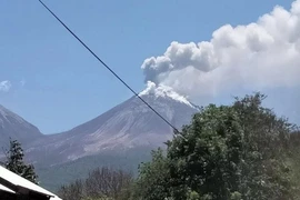 Flights to Indonesia's Bali resume following volcanic eruption