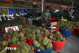 Durians for sale in Chanthaburi province, Thailand (Photo: AFP/VNA)