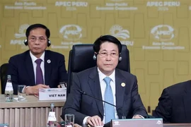 State President Luong Cuong attends the Asia-Pacific Economic Cooperation (APEC) Leaders' Informal Dialogue with Guests in Lima on November 15 (local time) (Photo: VNA)