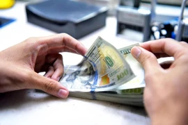 The State Bank of Vietnam sets daily reference exchange rate for the US dollar at 24,288 VND/USD on November 18. (Photo: VNA)