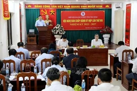 Representatives from Thai Binh province authority and businesses at the launching of the campaign. (Photo: VNA)