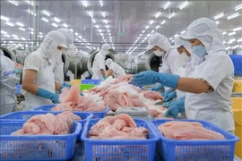 Tra fish processing (Photo: VNA)