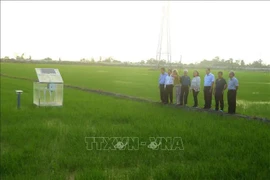 The World Bank delegation makes a fact-finding tour of and learned about a circular production model at the New Green Farm Cooperative in Can Tho city. (Photo: VNA)