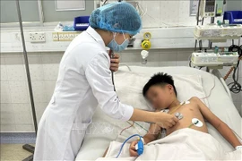 A child with dengue fever receives intensive treatment at the HCM City Hospital for Tropical Diseases. (Photo: VNA)