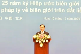 Deputy Prime Minister and Minister of Foreign Affairs Bui Thanh Son speaks at the event (Photo: VNA)