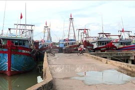 Fishing boats at Lach Hoi fishing port, Quang Tien ward, Sam Son city, Thanh Hoa province. (Photo: VNA)