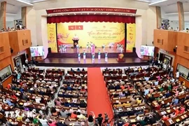 Overseas Vietnamese join the Homeland Spring 2024 in Ho Chi Minh City. (Photo: VNA)