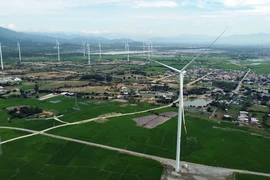 Vietnam has great potential to develop green economy (Illustrative image. Photo: VNA)