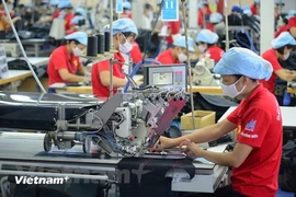 IMF forecasts Vietnam's economic growth to reach 6.1 % in 2024