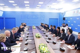 Vietnamese Prime Minister holds talks with Russian President