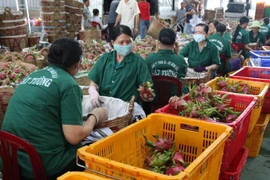 Tien Giang promotes green agriculture to boost competition