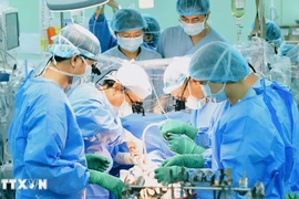 Vietnam leads Southeast Asia in number of organ transplants