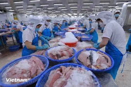 Procesamiento de pescado para la exportación (Foto: VNA)