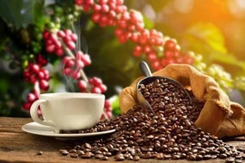 Exportaciones de café de Vietnam aumentan 33,2% en primer semestre