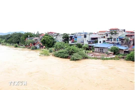 El nivel de agua del río Cau, en la provincia norvietnamita de Thai Nguyen, continúa elevando. (Foto: VNA)