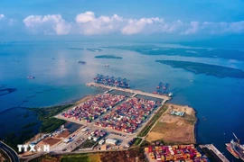 Mercancías manejas por los puertos marítimos vietnamitas aumentaron un 14%