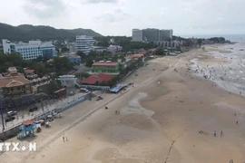 Difunden esfuerzos por mantener limpias las playas de Vung Tau en Vietnam