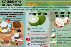 Exportaciones de coco fresco: Nuevo aliciente para la economía de Vietnam